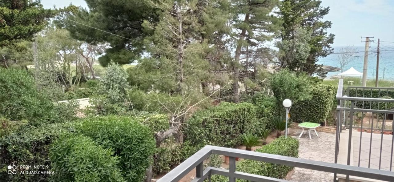 Casa Punta D'Oro Faccia di Trippa di Monte Exterior foto